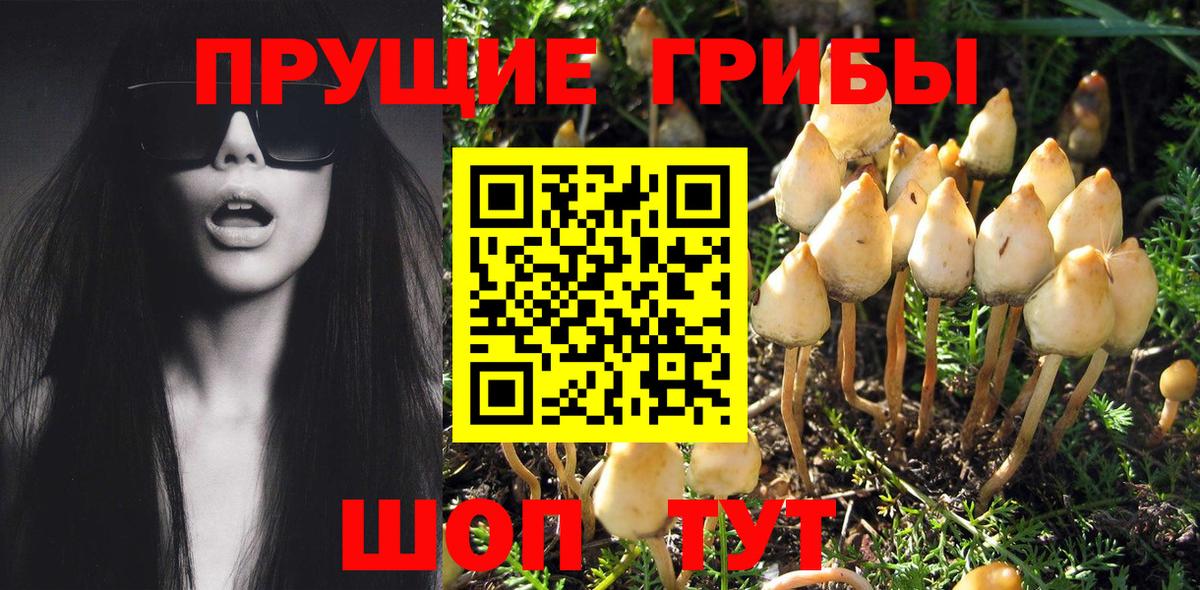 Псилоцибиновые грибы Magic Shrooms Белово