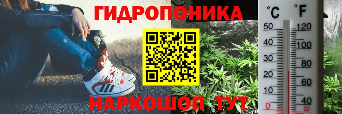 Каннабис Amnesia  Бошки Шишки тримм  Вход с VPN  Белово  Бошки Шишки Ganja 
